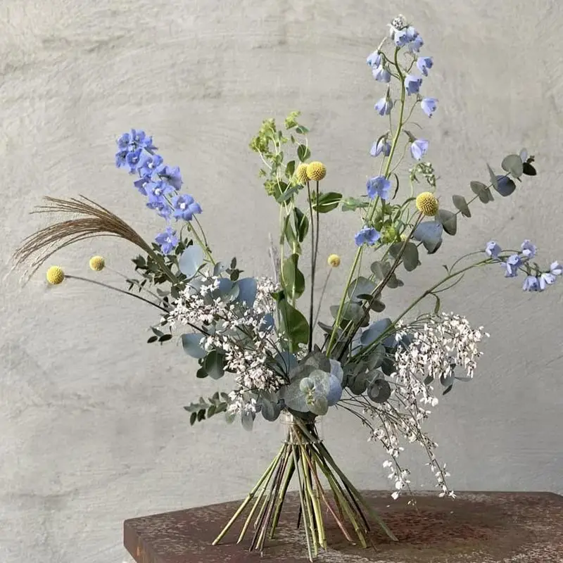 Supporto per stelo a spirale I - Ikebana Vase Kenzan recensione e prezzo