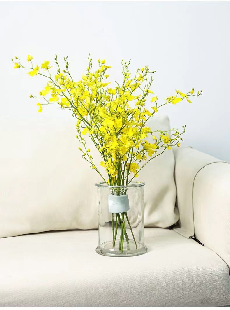 Supporto a spirale per steli d - Ikebana Vase Kenzan recensione e prezzo