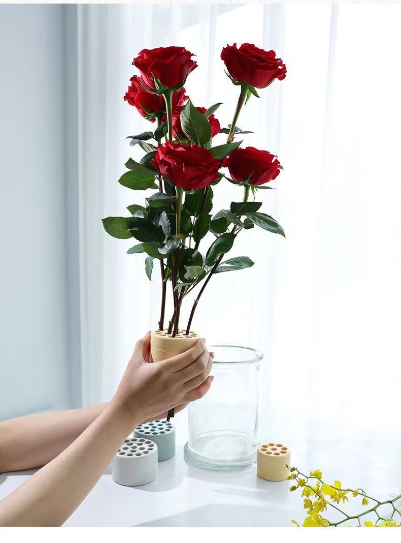 Supporto a spirale per steli d - Ikebana Vase Kenzan recensione e prezzo