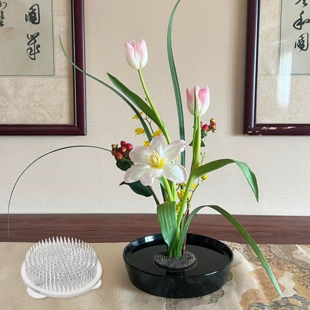 1/3 Pezzi Supporto Trasparente - Ikebana Vase Kenzan recensione e prezzo